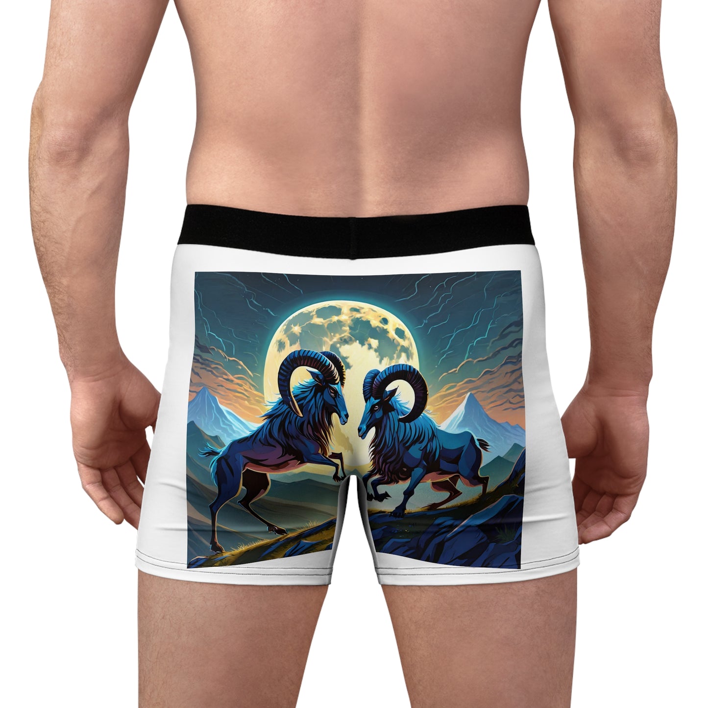 Men's Boxer Briefs Ram2 LLC